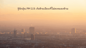รู้จักฝุ่น PM 2.5