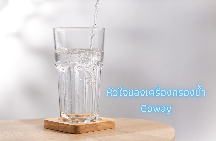 เครื่องกรองน้ำ coway