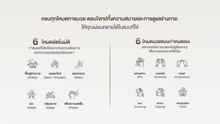 เก้าอี้นวดไฟฟ้า รุ่น Mine Plus (MC-B02)