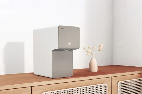Cinnamon Cover
